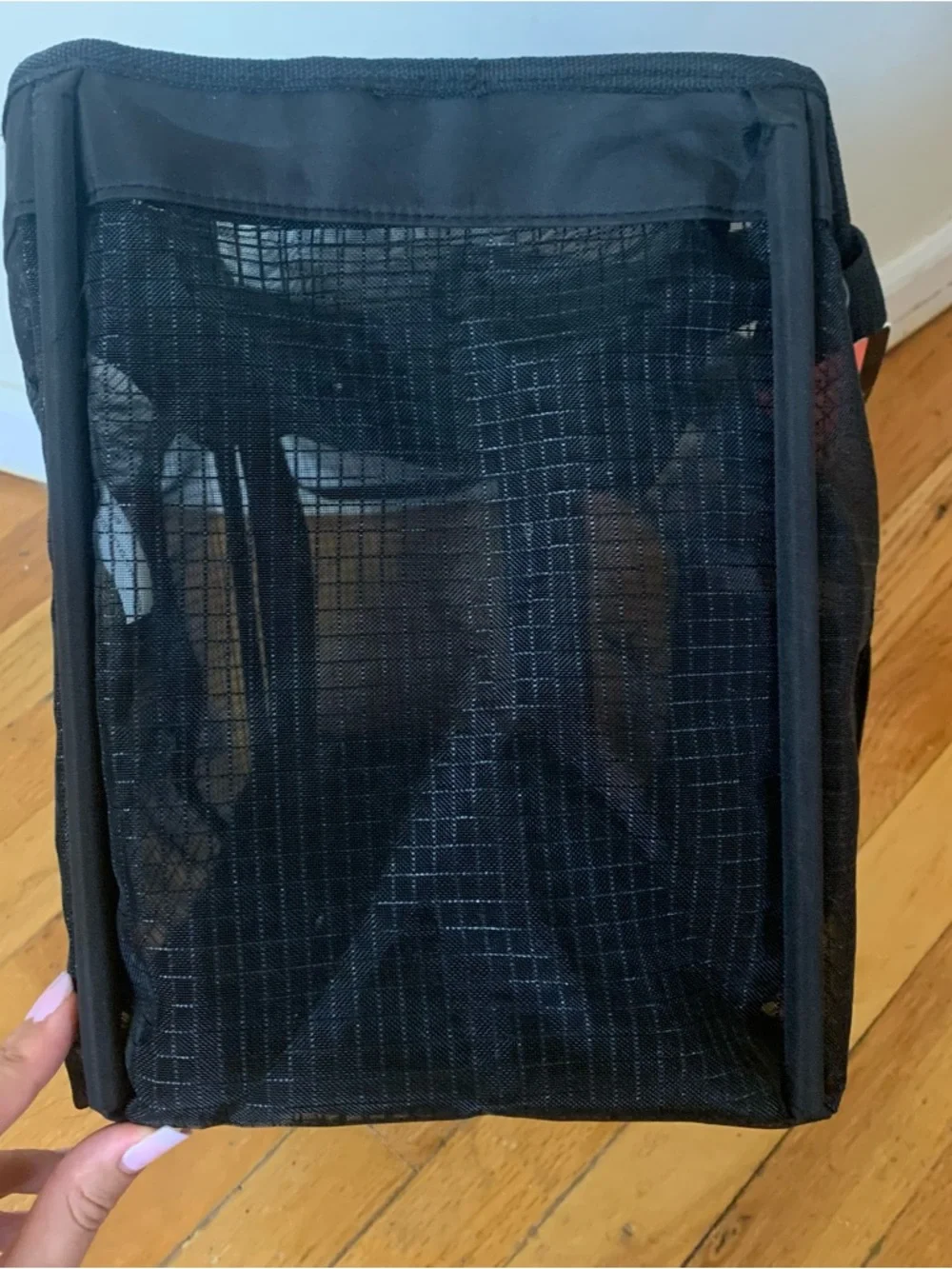 Dicken’s Closet Mesh Black lightweight pet carrier with mesh top